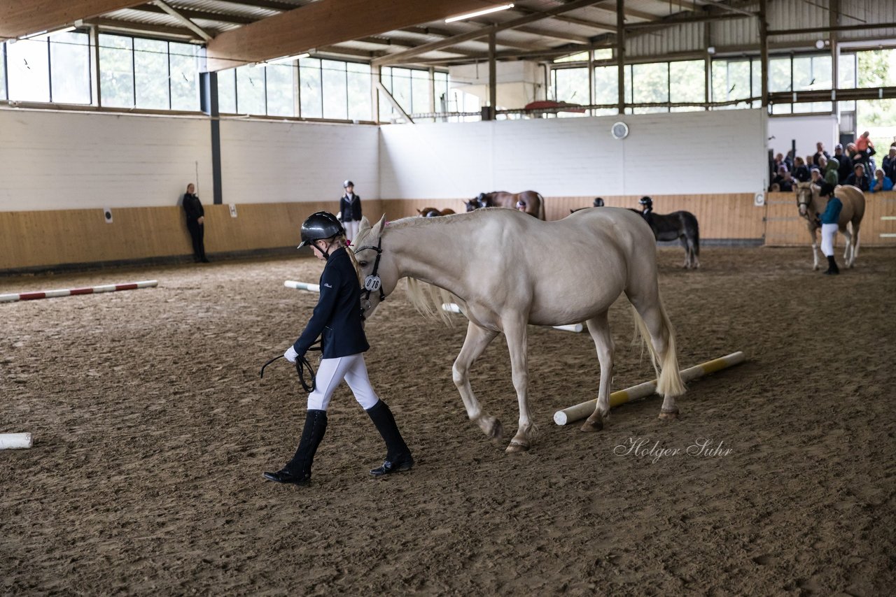 Bild 87 - Pony Akademie Turnier